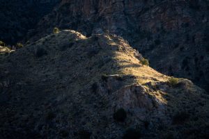 Sunlight on High Ridge
