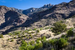 East Fork of Sabino Canyon