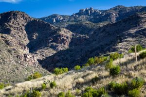 East Fork of Sabino Canyon
