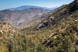 Santa Catalina and Rincon Mountians