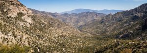 Rincon Mountains Above Sabino Canyon
