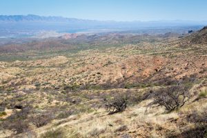 Black Hills of Arizona