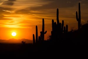 Sonoran Desert Sunset