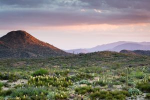 Tortilla Mountains in Arizona