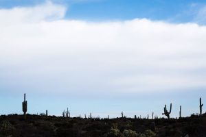 Clouds and Cactus