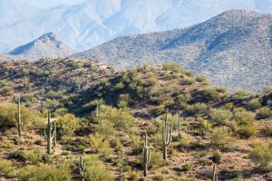 Endless Mountains Above Desert