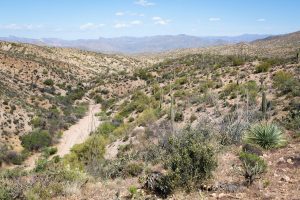 Ridge Above Desert Wash
