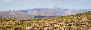 Sonoran Desert and Desert Mountains