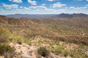 Arizona Trail Ascending Big Hill