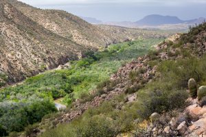 Gila River Canyon Railroad