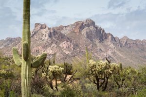 Sonoran Desert Mountains