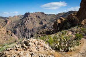 Desert Hiking Trail