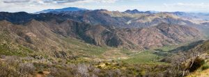 Reavis Canyon Below Montana Mountain