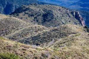 Thru-Hikers on the Arizona Trail