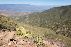 Roosevelt Lake Below Desert Mountains