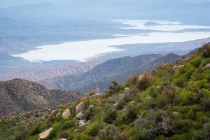 Roosevelt Lake Below High Desert