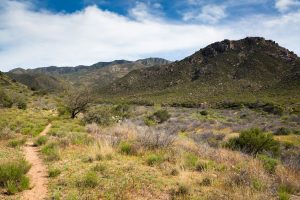 Hiking Trail in Desert Canyon
