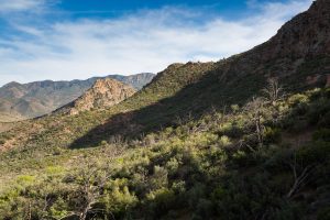 High Desert Mountains