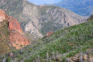 Rocky Color in the Mazatzals