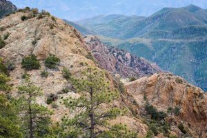 Large Rocky Mountain