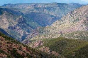 South Fork of Deadman Creek