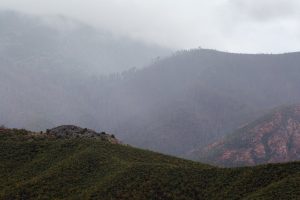 Rain Showers and Foggy Weather