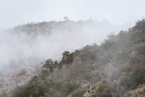 Foggy Weather in High Desert Mountains