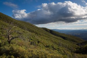 Stormy Cloud over Oak-Lined Mountains