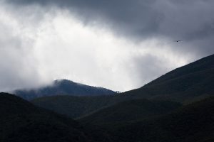 Raven Flying Toward Storm Clouds
