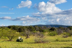 Grassy Plateau Below Clouds