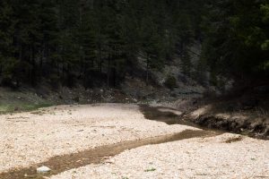 East Clear Creek and Rocky Bed