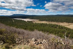 Upper Lake Mary in Pine Forest