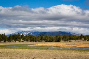 Marshall Lake and San Francisco Peaks