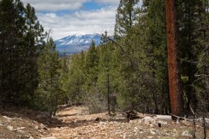 Mountains Above Arizona Trail