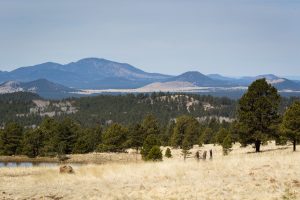 Kendrick Peak Above Landscape