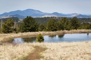 Stock Pond Below Distant Cinder Cones