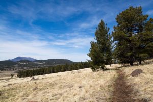 Arizona Trail Above Grasslands