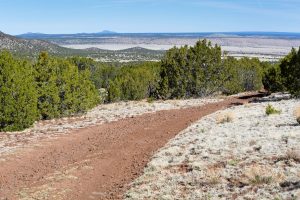 Dirt Road in Northern Arizona