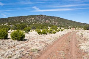 Dirt Road Passing Cinder Cone