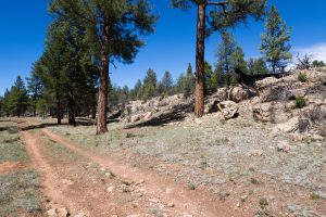 Arizona Trail Passing Rocky Ledge