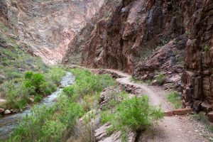 Vishnu Basement Rocks