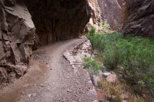 Rocky Overhang on North Kaibab Trail