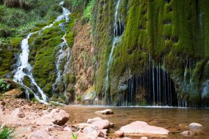 Base of Ribbon Falls