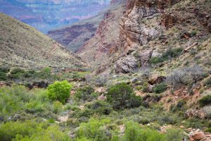 Grand Canyon Layers