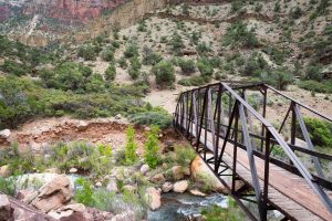 Bridge over Bright Angel Creek