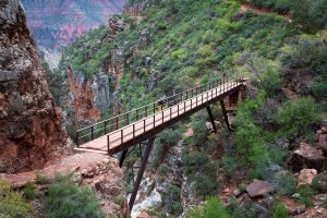 Footbridge Crossing Steep Canyon