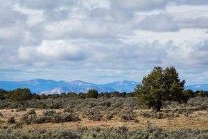 Northern Kaibab Plateau