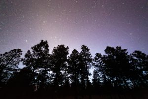 Zodiacal Light on the Coconino Rim