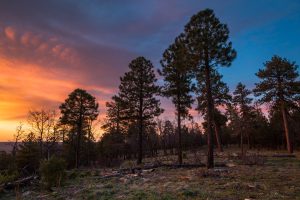 Coconino Rim Sunrise