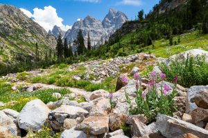 North Fork of Cascade Canyon Trail